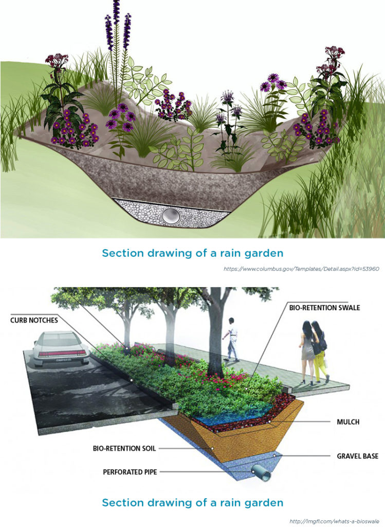 solution durable jardins pluviaux