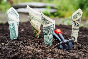 L’impact de la culture d’entreprise sur votre rentabilité