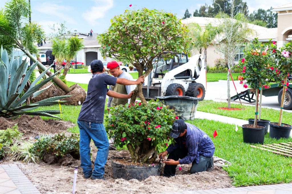Millennial Landscaping Job Crews