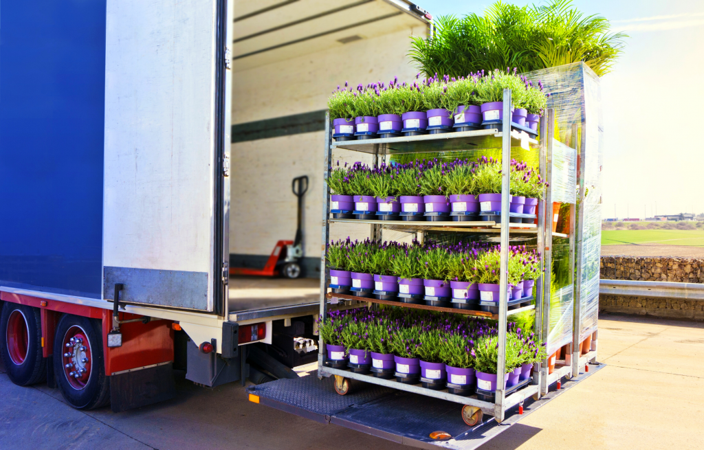 Plant Delivery or Pickup What’s More Cost Efficient?