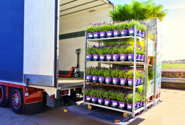 Plant Delivery or Pickup: What’s More Cost Efficient?