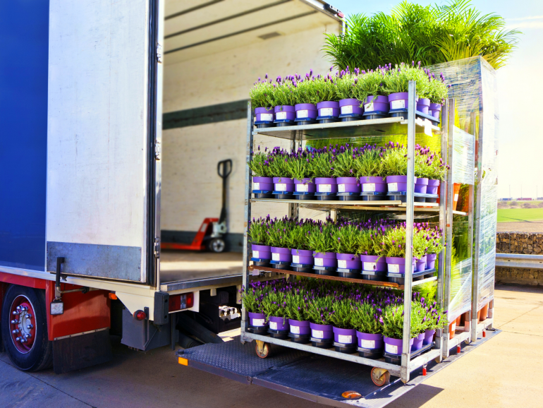 Plant Delivery or Pickup: What’s More Cost Efficient?