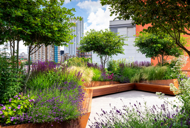 8 Award-Winning Landscaping Designs