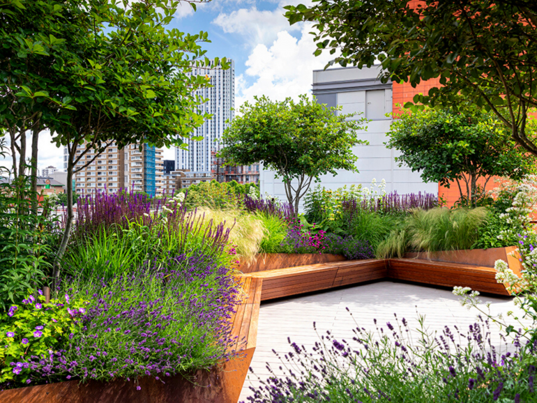 8 Award-Winning Landscaping Designs