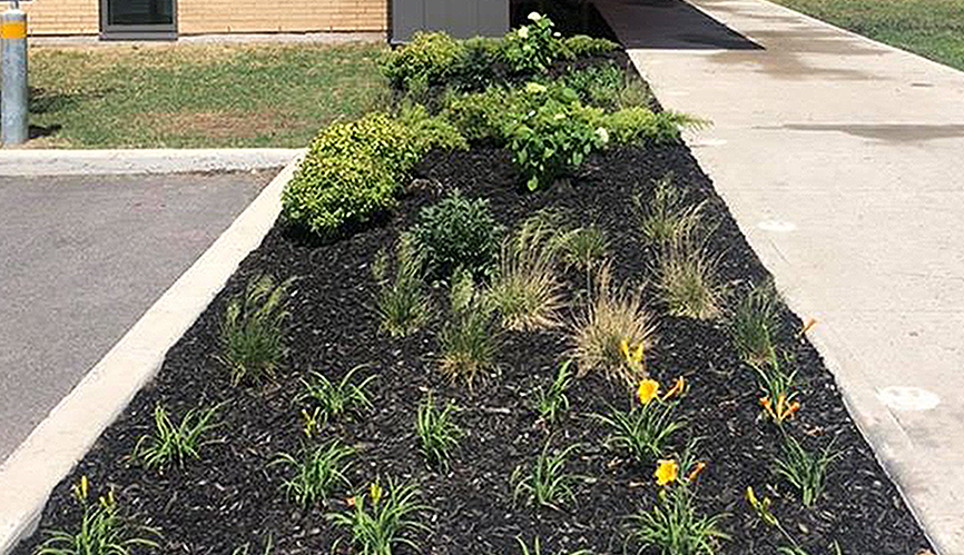 pathway garden bed