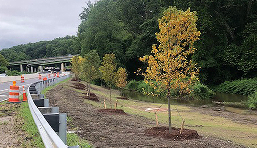 highway landscaping