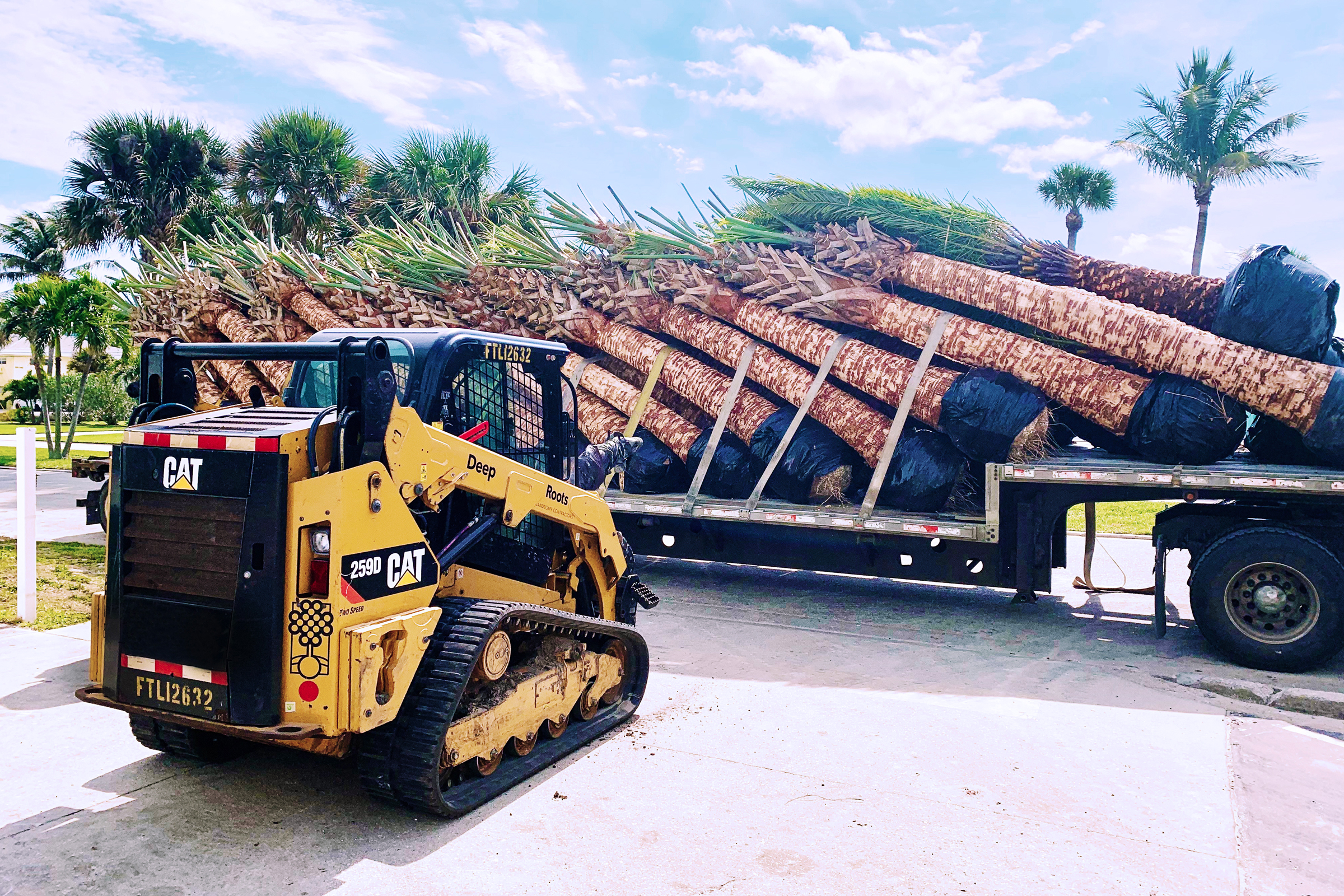 landscaping tree delivery