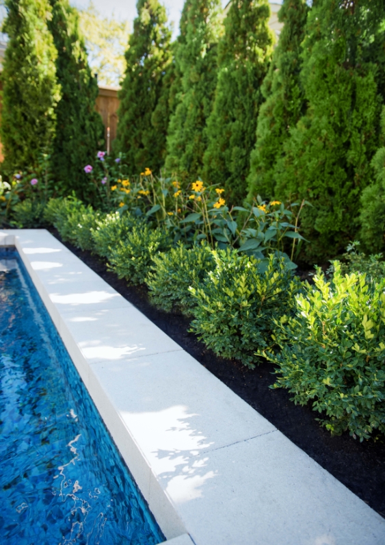 Learn how Gomaterials help wholesale house plants suppliers business grow.