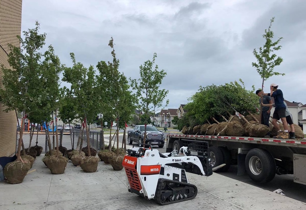 Orange Landscaping