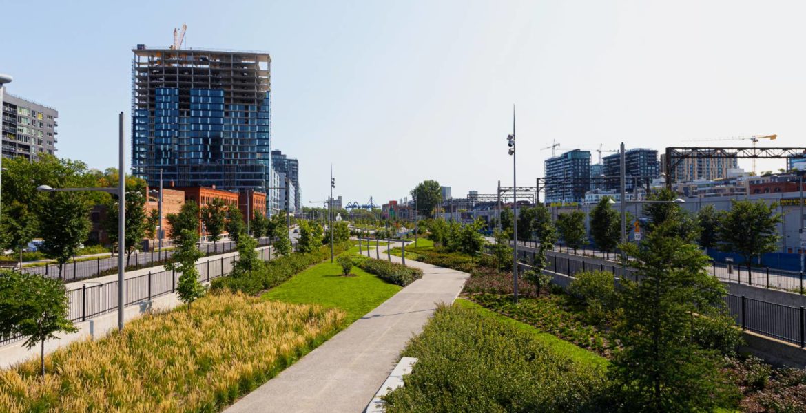 Bonaventure Park Landscaping