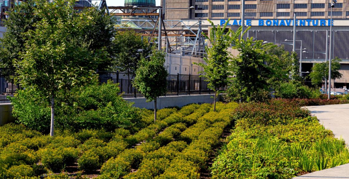 Place Bonaventure landscape