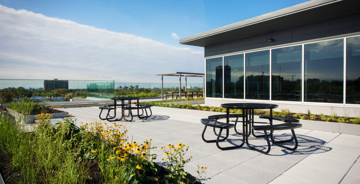 high school rooftop landscape