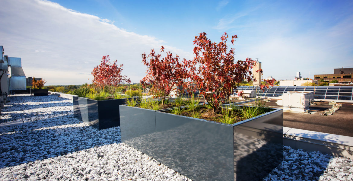 landscaping rooftop