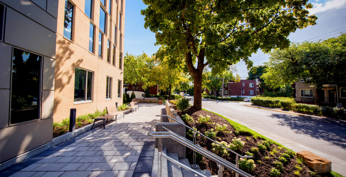 landscaping herzliah school