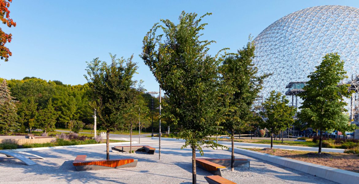 Montreal park landscape