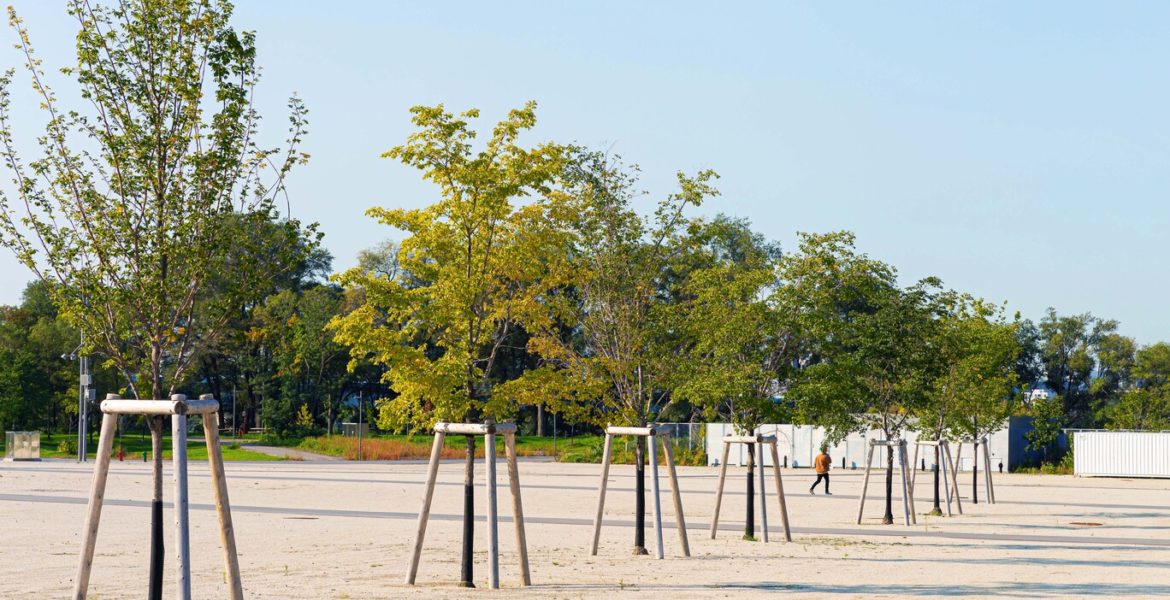 landscape jean drapeau park