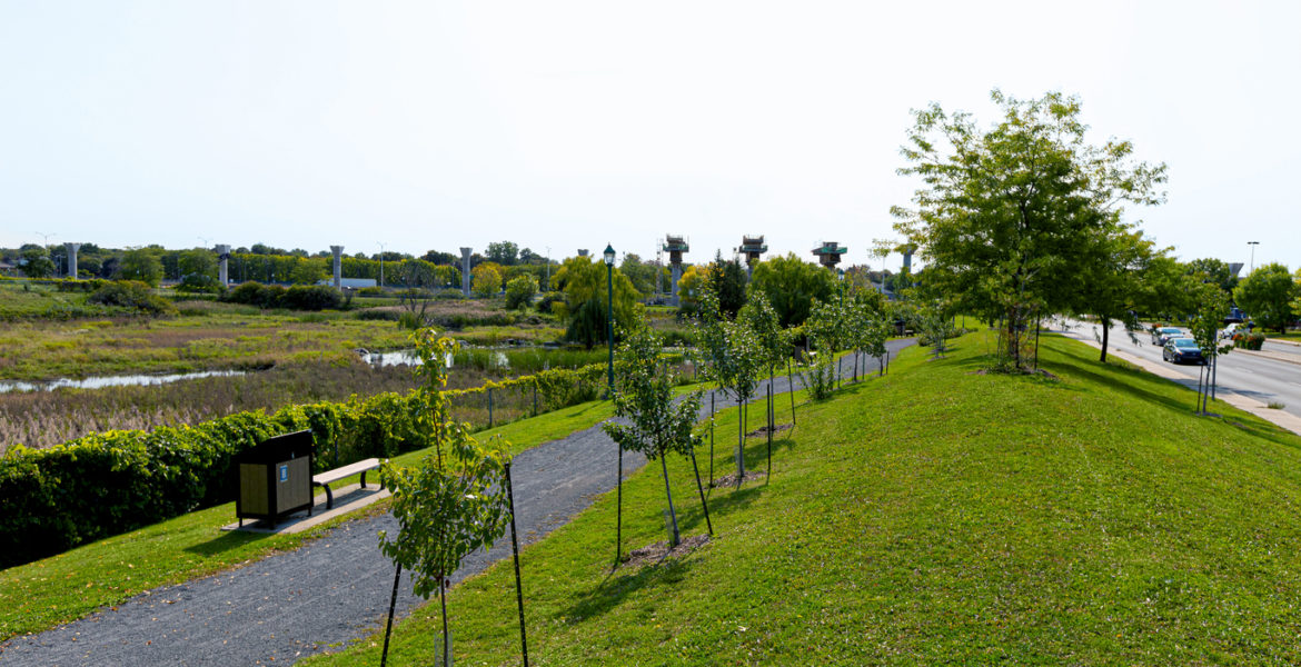 landscaping volunteers park