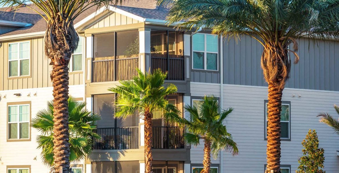 Palms for Landscaping