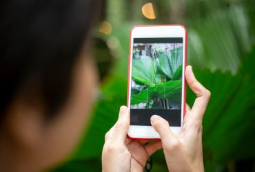 5 entreprises québécoises d’aménagement paysager utilisant Instagram efficacement