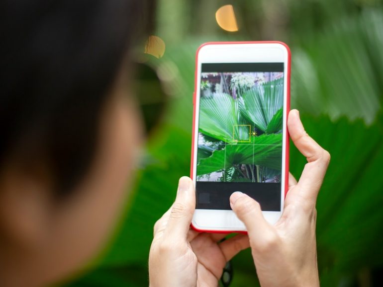 5 Quebec Landscaping Companies Using Instagram Effectively