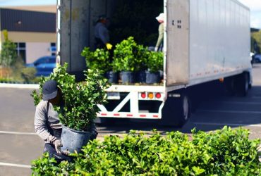 5 Ideas and Resources to Overcome Landscape Worker Shortages