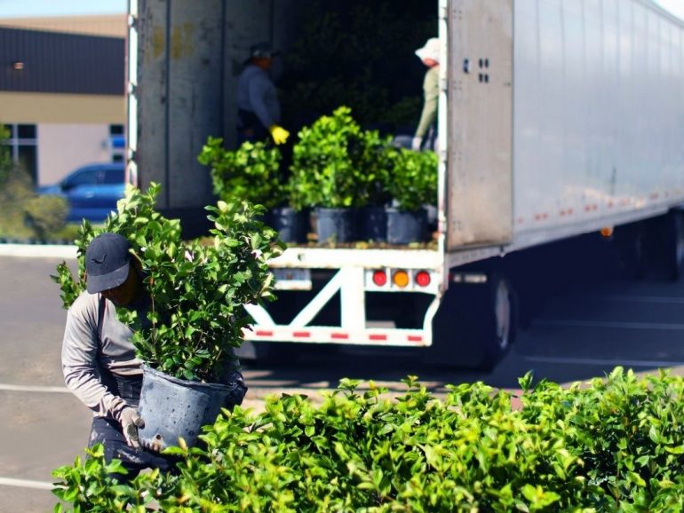 5 Ideas and Resources to Overcome Landscape Worker Shortages