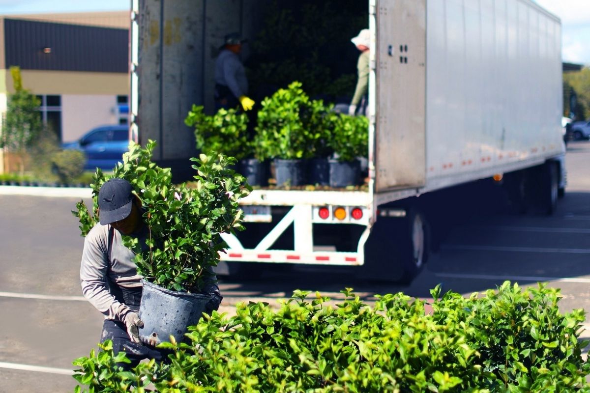 Landscape worker shortages