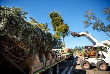 Comment réduire vos frais de transport en combinant vos chargements