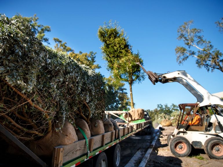 Comment réduire vos frais de transport en combinant vos chargements