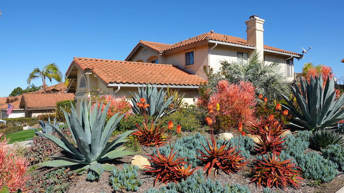 drought tolerant plants in southern states