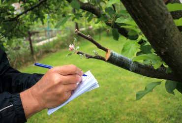 3 Quality Control Secrets for Busy Landscaping Operations Teams