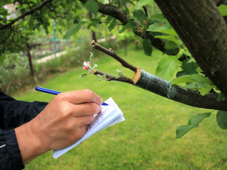 3 Quality Control Secrets for Busy Landscaping Operations Teams