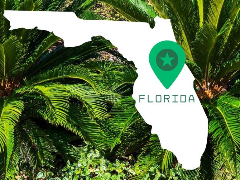 Florida’s Frenzy Landscape Plant Supply Chain Explained