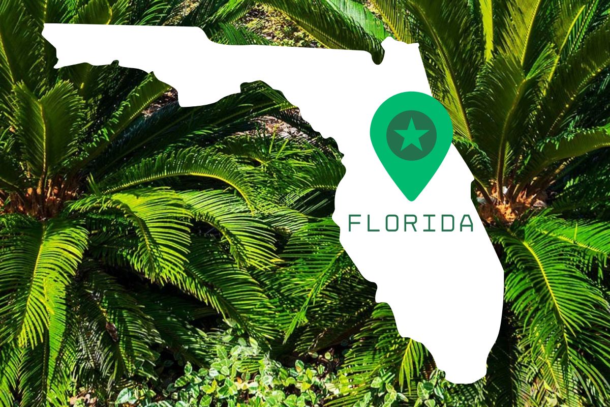 approvisionnement en plantes en Floride