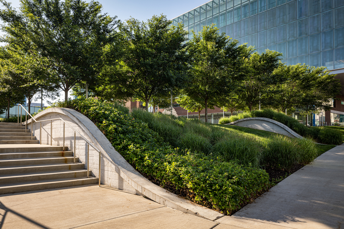 Landscaping Award Winners